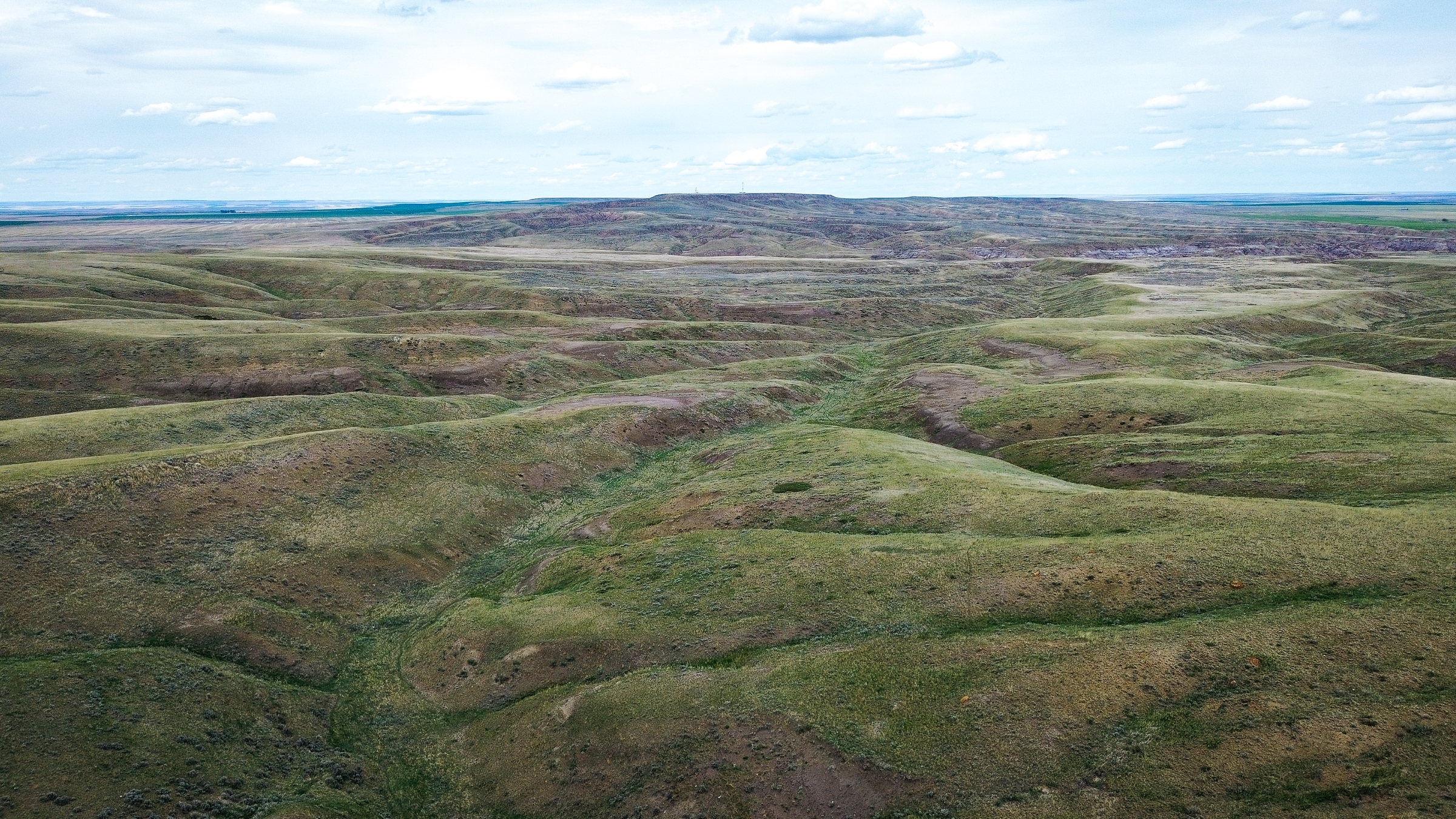 Iberian landscape — dedicated biomass plantations across buyer-specified geographies